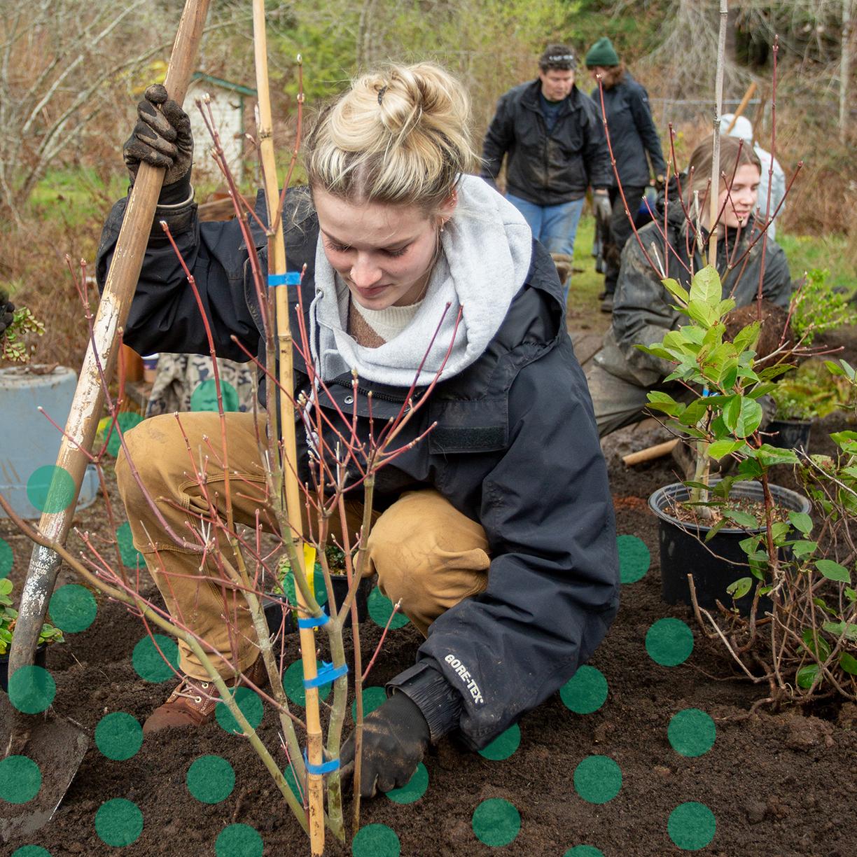 A woman working in the soil.