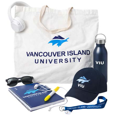 viu swag bag example